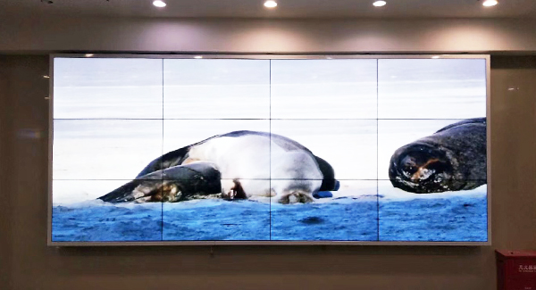 55 inch lcd video wall for hospital